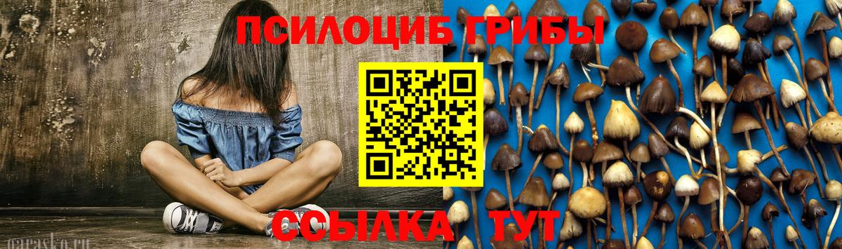 Галлюциногенные грибы Psilocybine cubensis  Вход с VPN  Канаш 